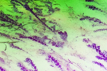 N 044B
